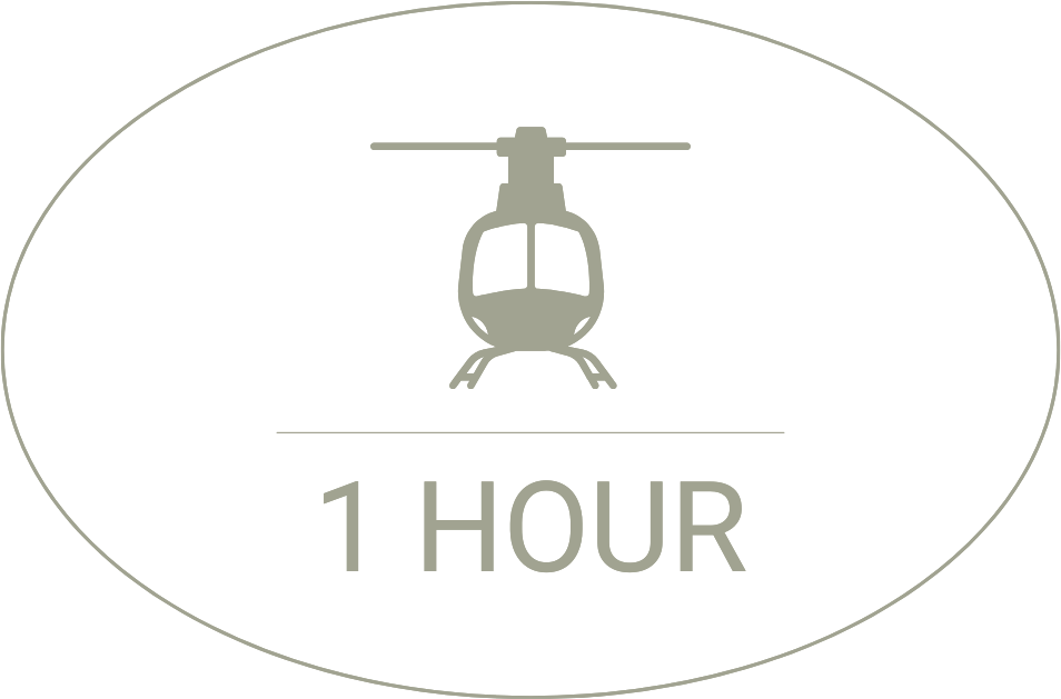 1hour-tour